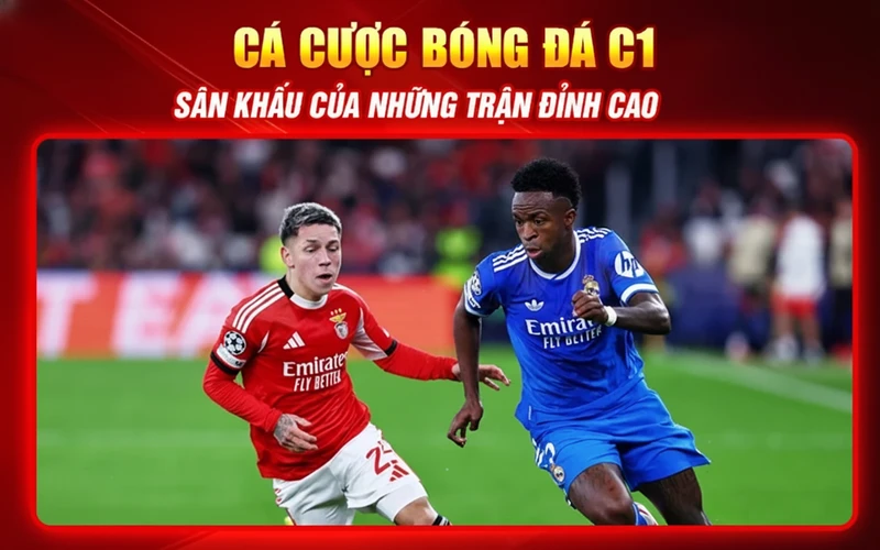 Cá cược bóng đá C1