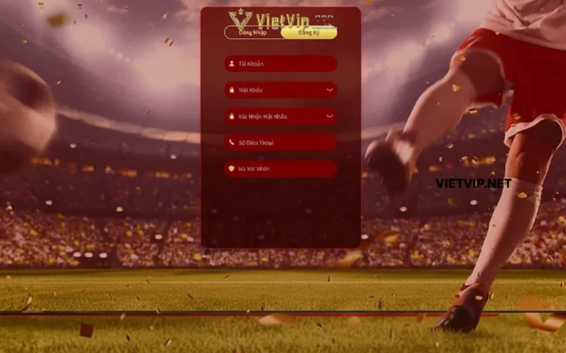 Nhập thông tin tài khoản đăng ký Vietvip