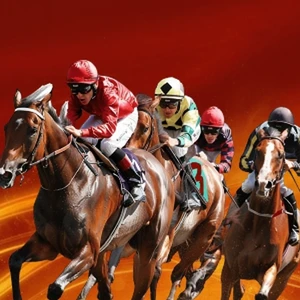 đua ngựa