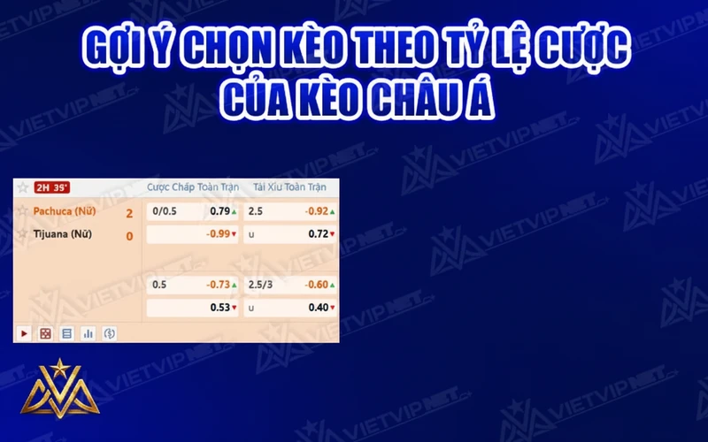 Mẹo cá cược bóng đá theo tỷ lệ cược kèo chấp