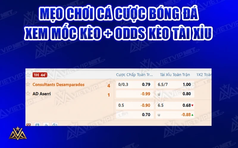 Mẹo chơi cá cược bóng đá với mốc kèo và odds
