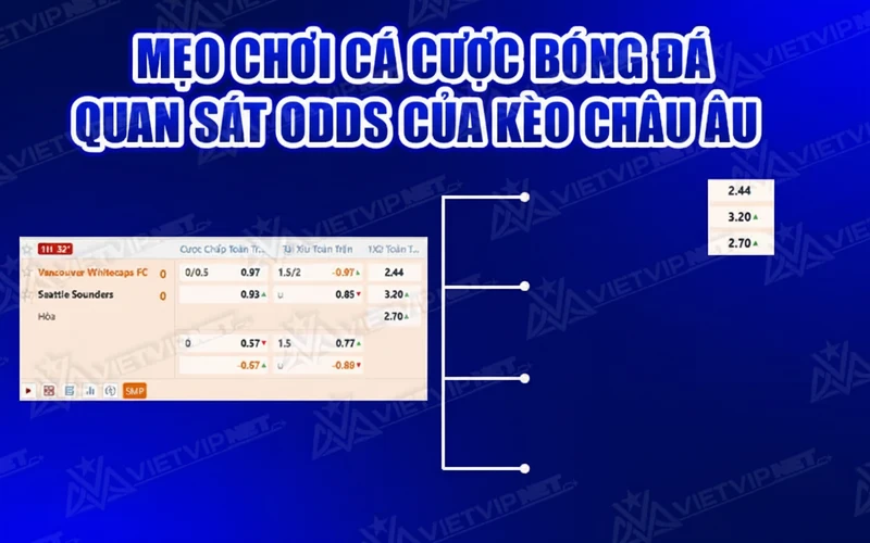 Mẹo chơi cá cược bóng đá qua quan sát odds kèo 1x2