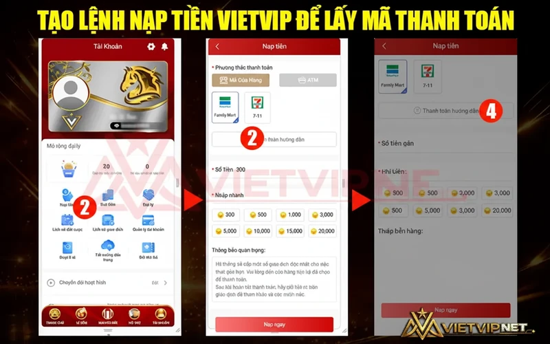Tạo lệnh nạp tiền VietVip